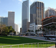 miami1